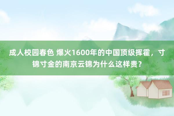 成人校园春色 爆火1600年的中国顶级挥霍，寸锦寸金的南京云锦为什么这样贵？